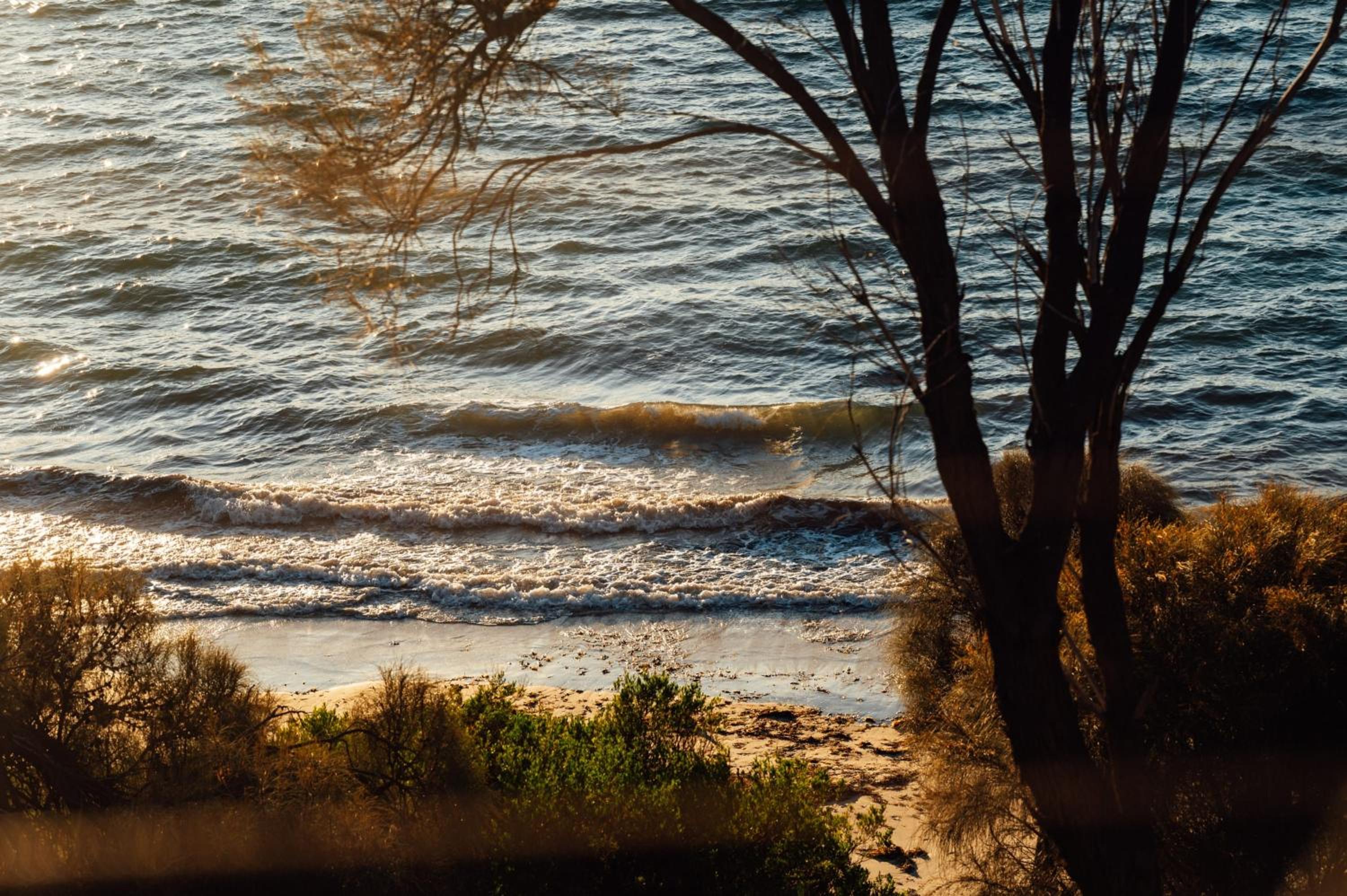 Blessington Beachside Retreat -38km to CBD