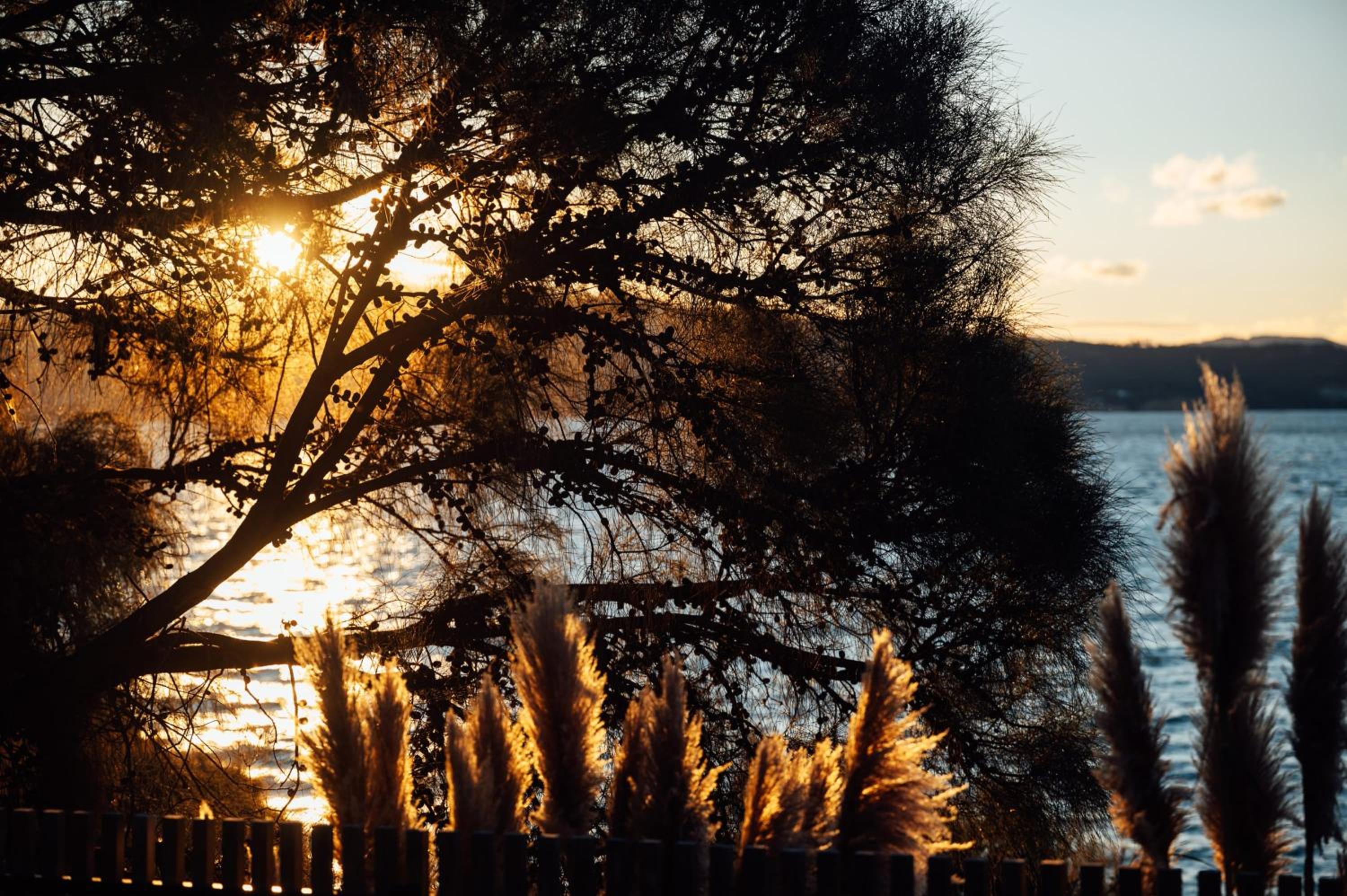 Blessington Beachside Retreat -38km to CBD
