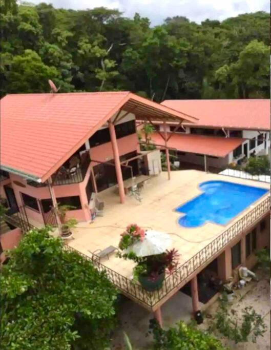 Gorgeous, LARGE, peaceful! Perfect location!