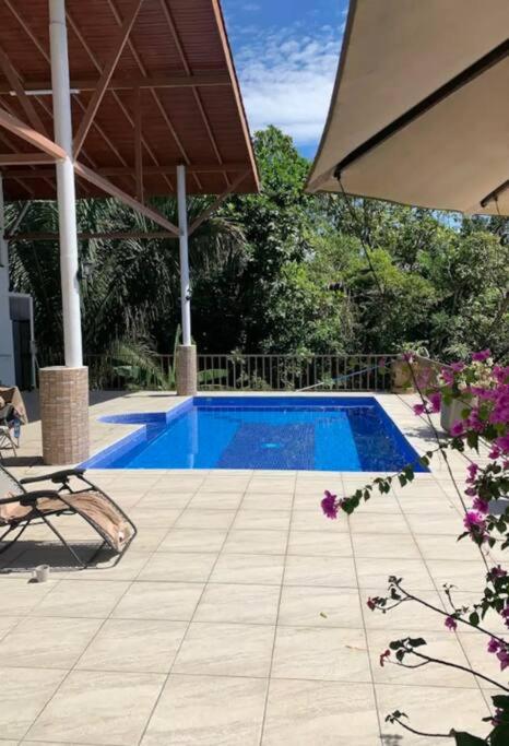 Gorgeous, LARGE, peaceful! Perfect location!
