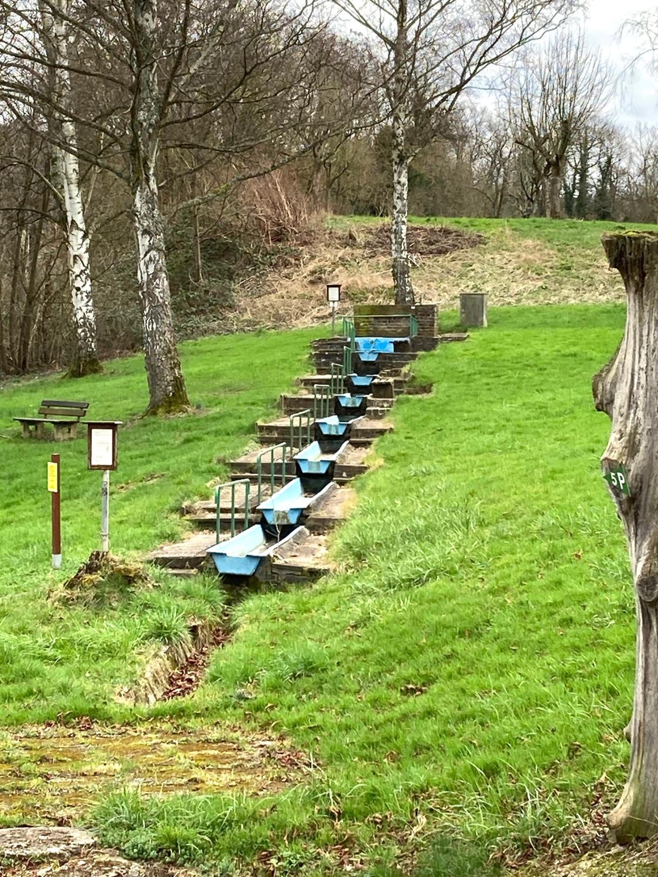 Burgblick Pünderich