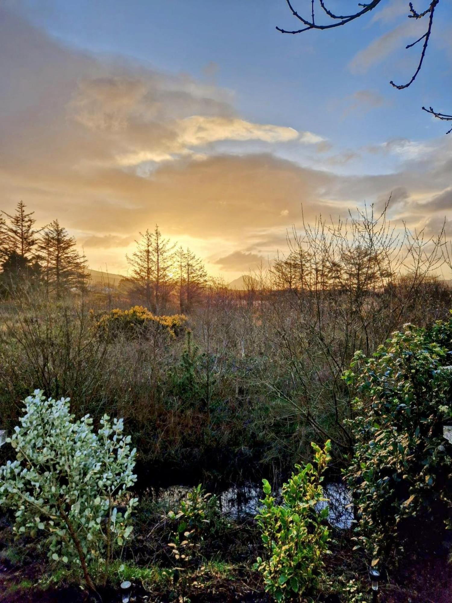 River Cottage Donegal