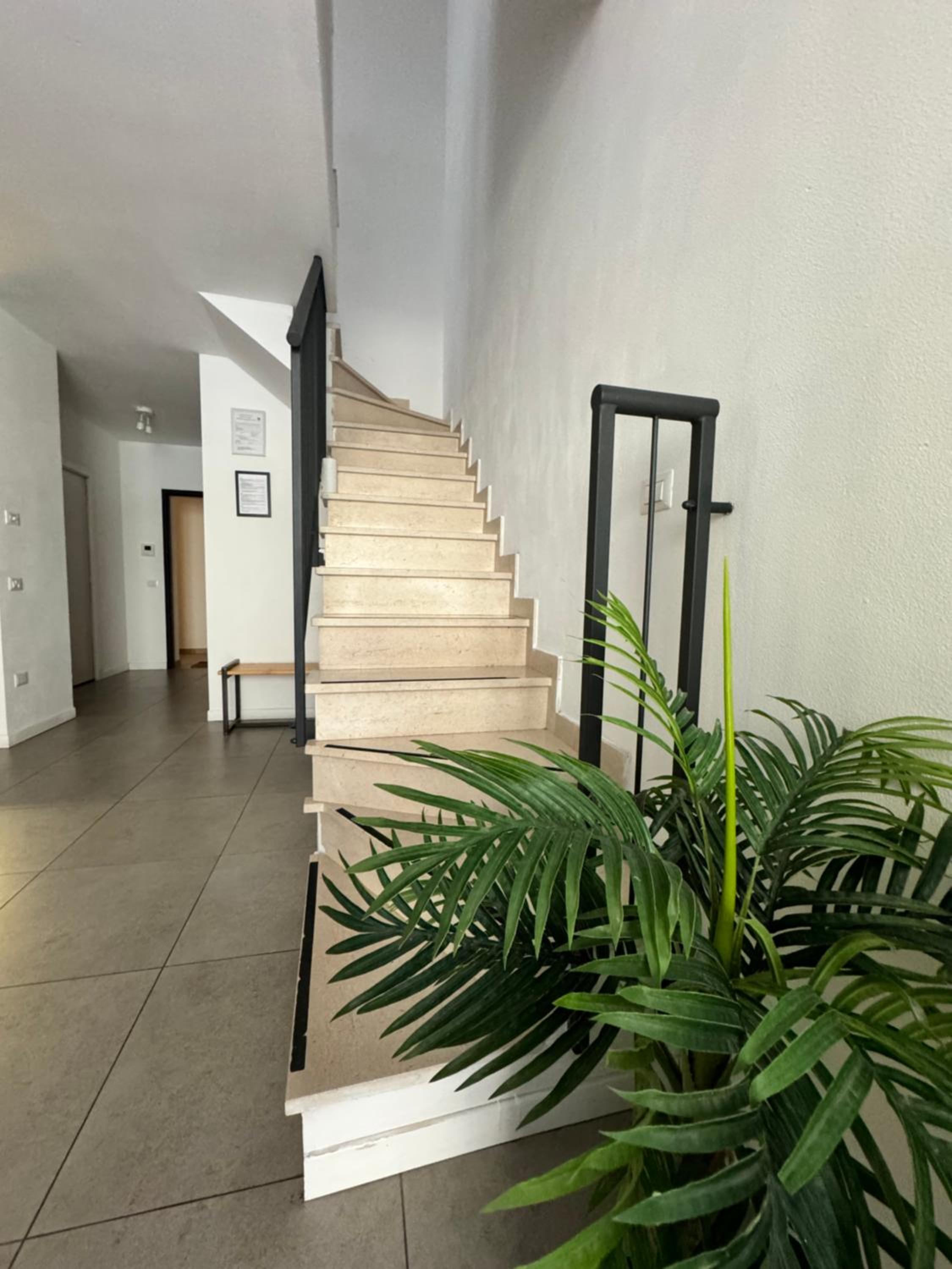 Celeste's House