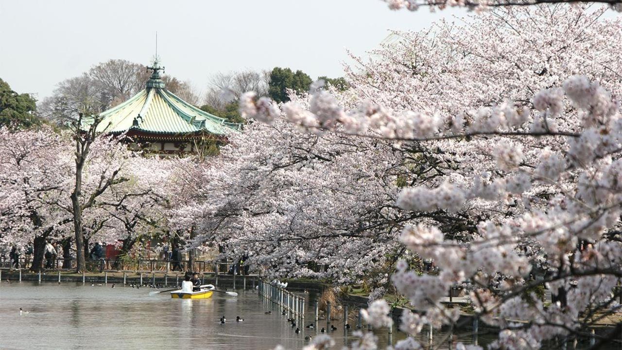 UENO station 7min on foot/Cozy Apartment/Convenient location