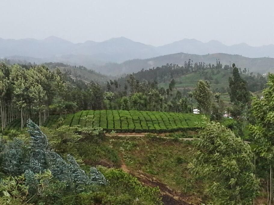 Mountain Top Holidays Home, Ooty