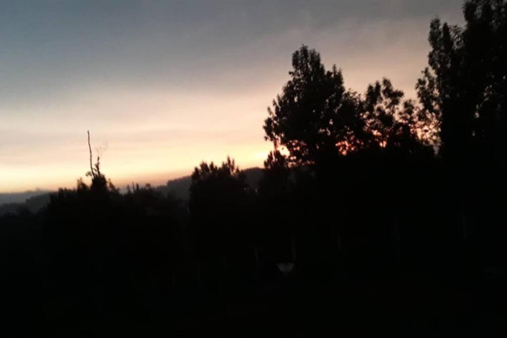 Mountain Top Holidays Home, Ooty