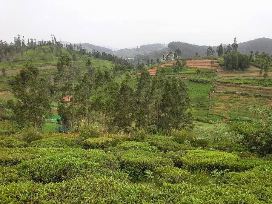 Mountain Top Holidays Home, Ooty