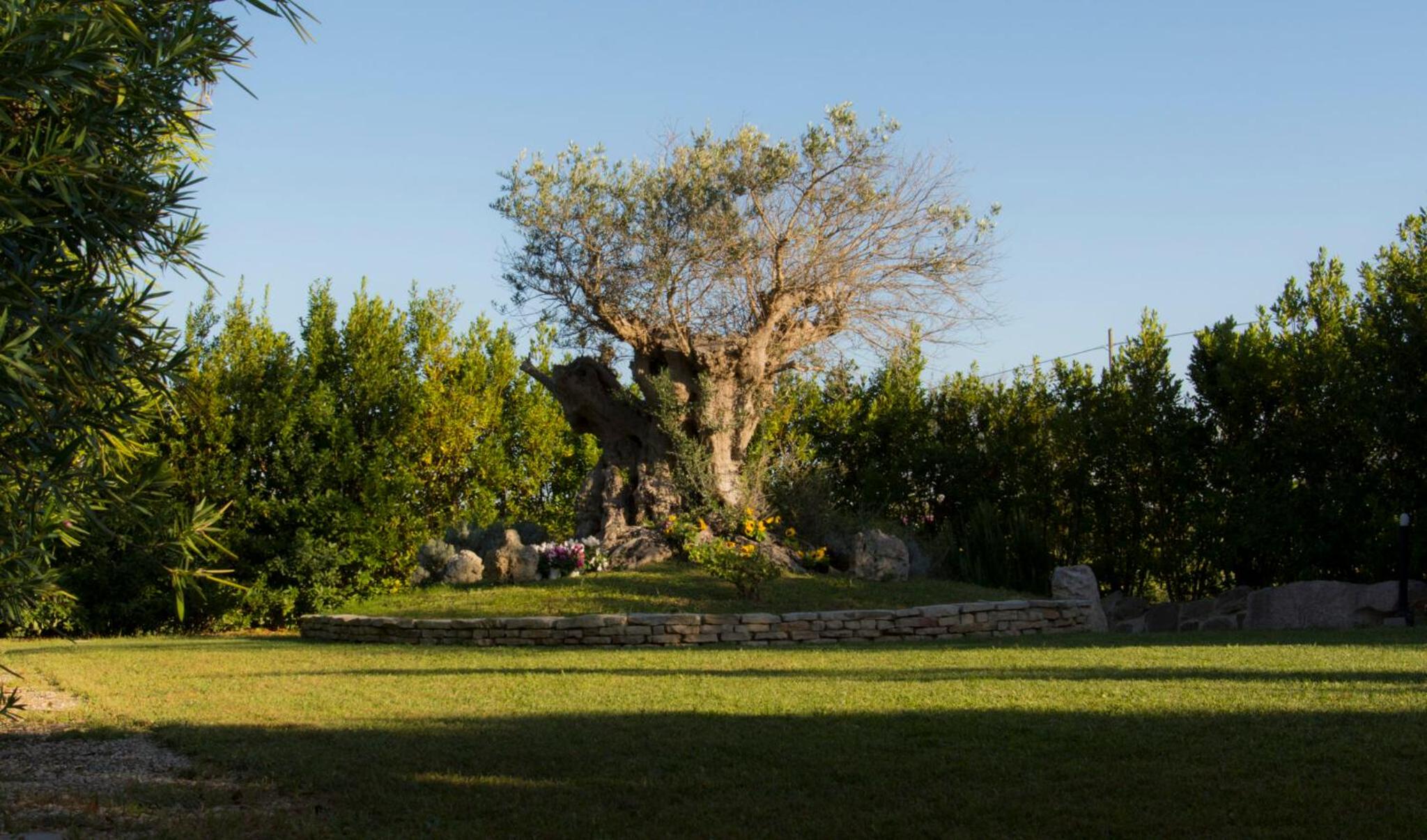Agriturismo La Violetta view 4