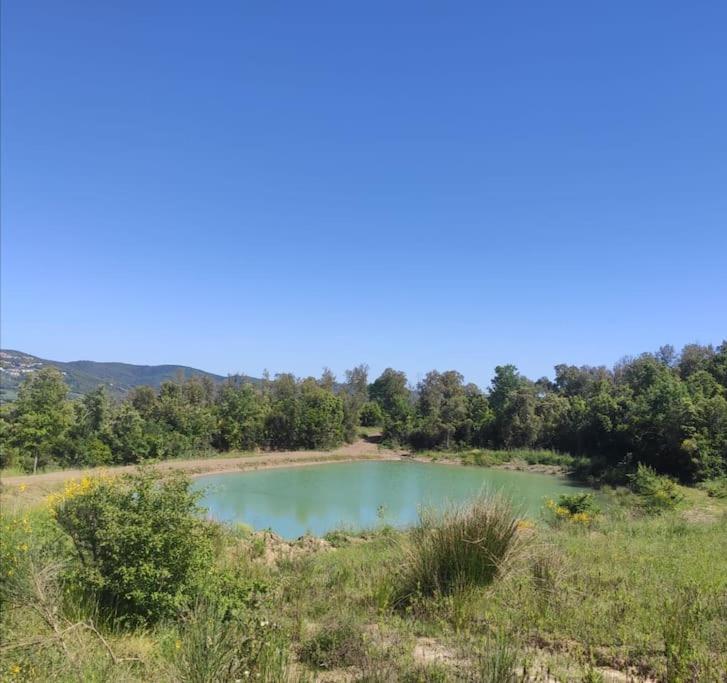 Rustico in un parco di lecci