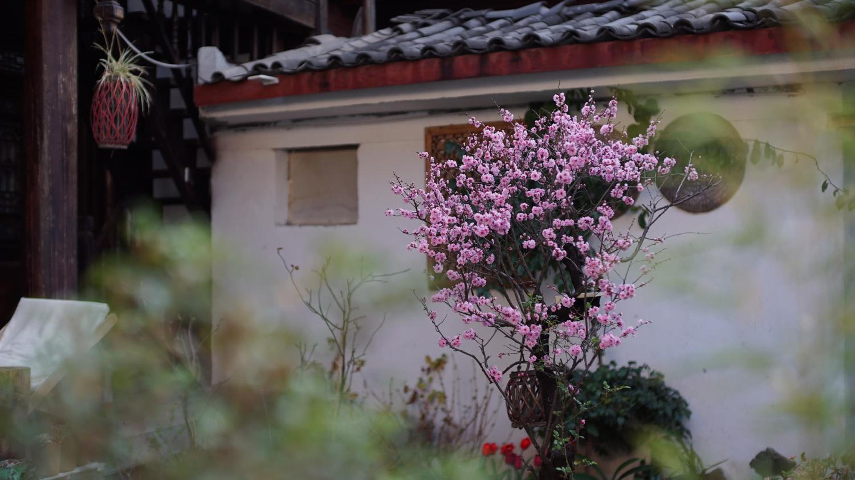 Photo 40