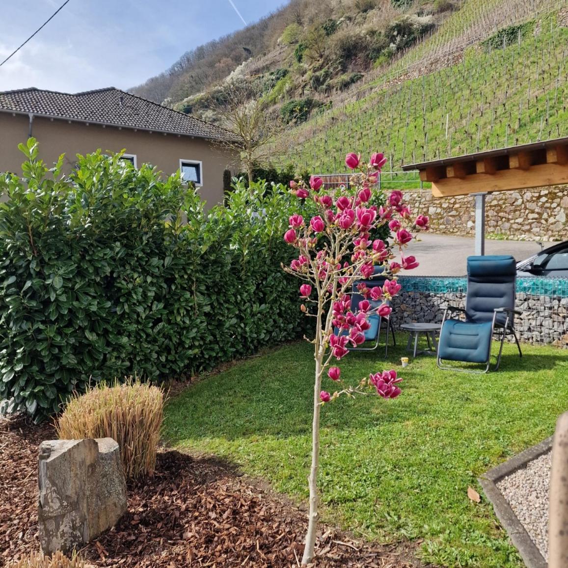 Villa Ferres