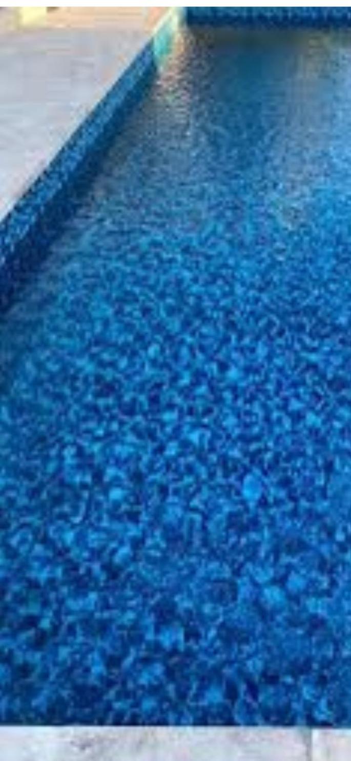 The Blue House