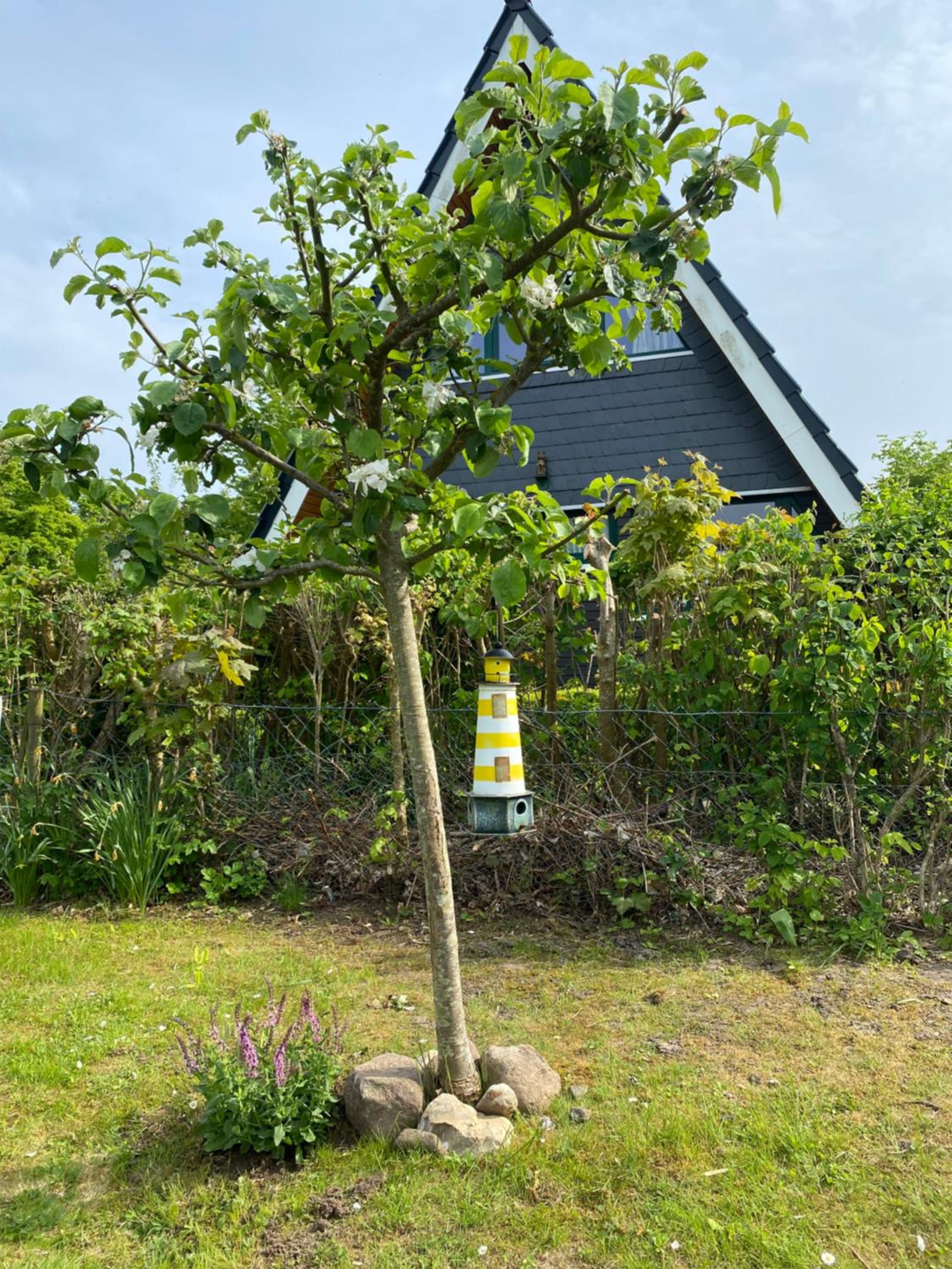 Ferienhaus Seemöwe