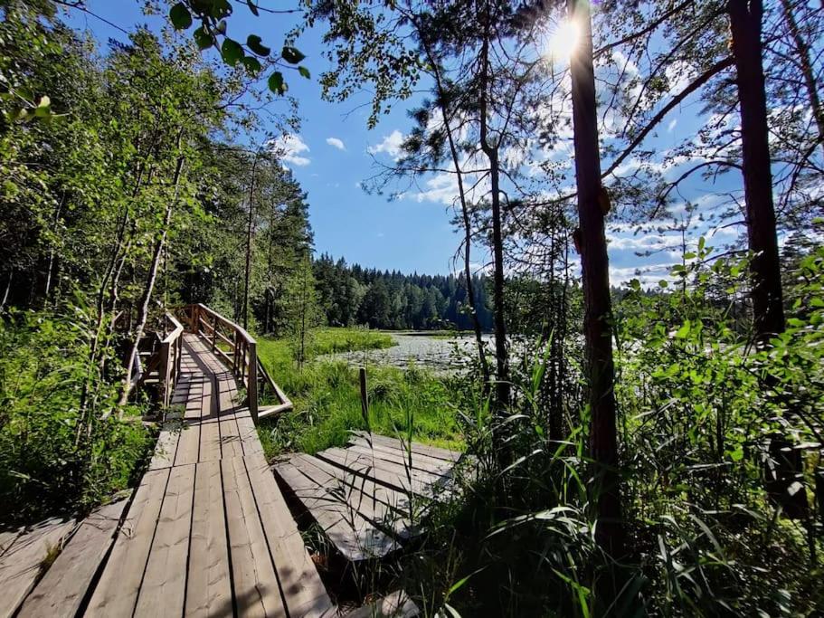 Hirsimökki kansallispuistossa
