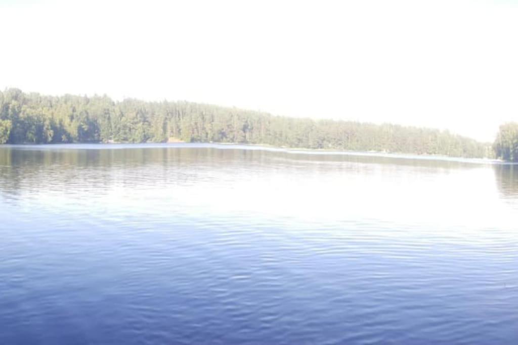 Hirsimökki kansallispuistossa