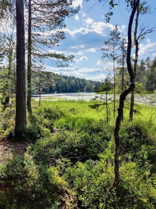 Hirsimökki kansallispuistossa