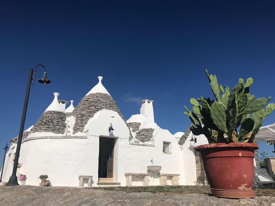 Authentic Trullo in the heart of Puglia