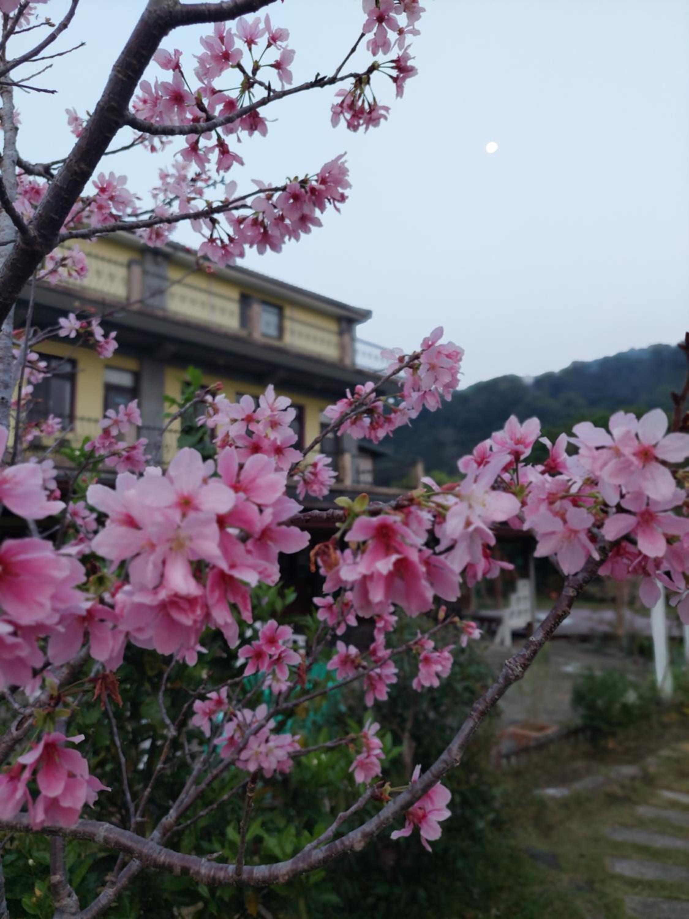Fu Chuan Garden view 5