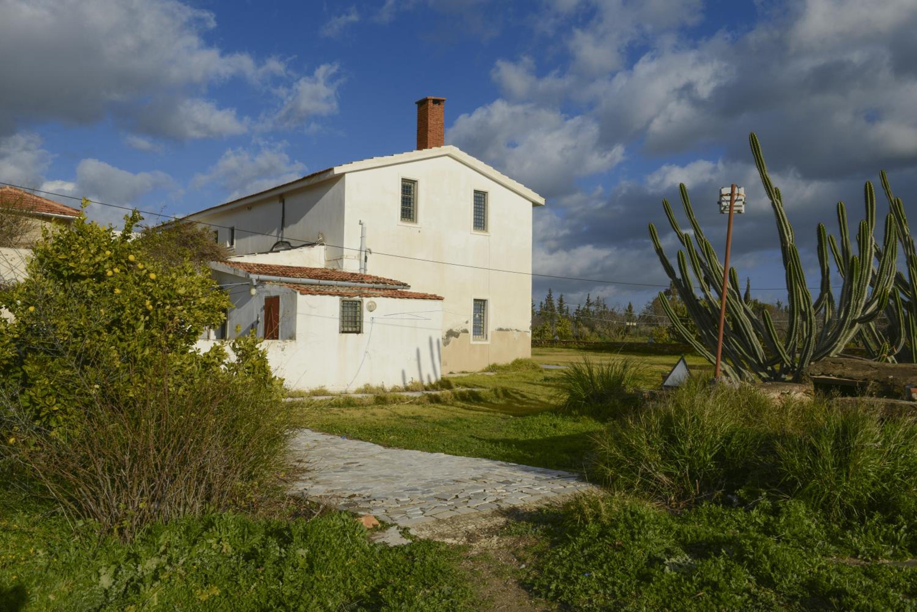 Photo 25