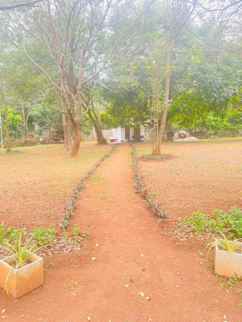 Ima Villa Sigiriya view 5