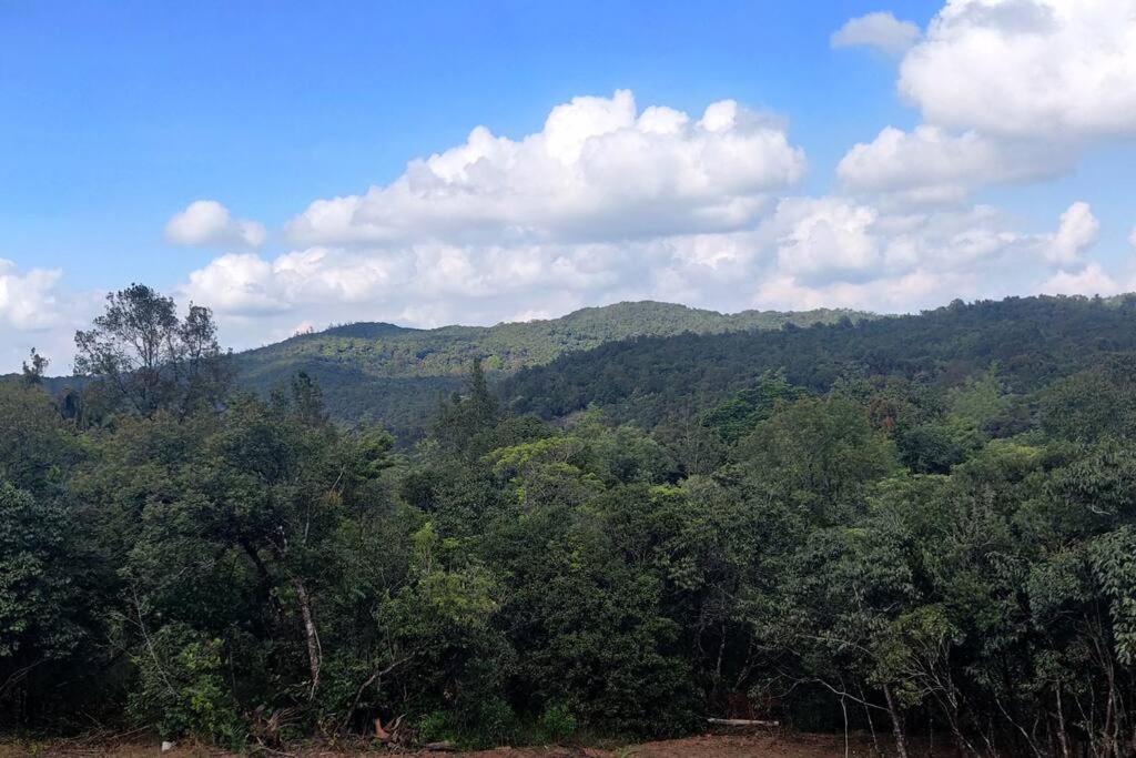 Dream Acres Homestay