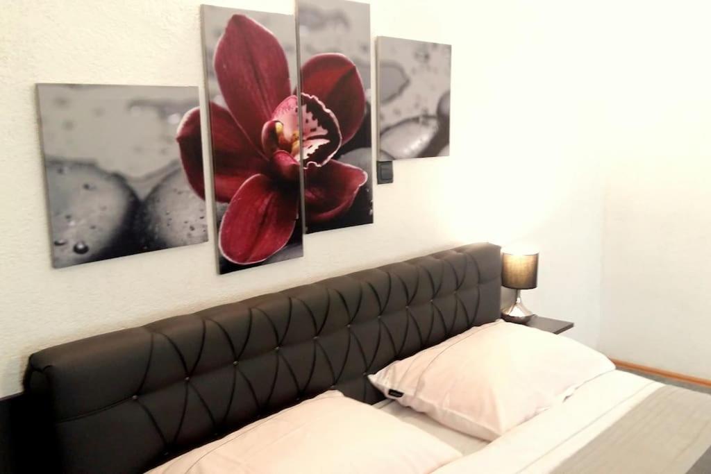 CityCentralOldTown*PrivateParking* BestLocation