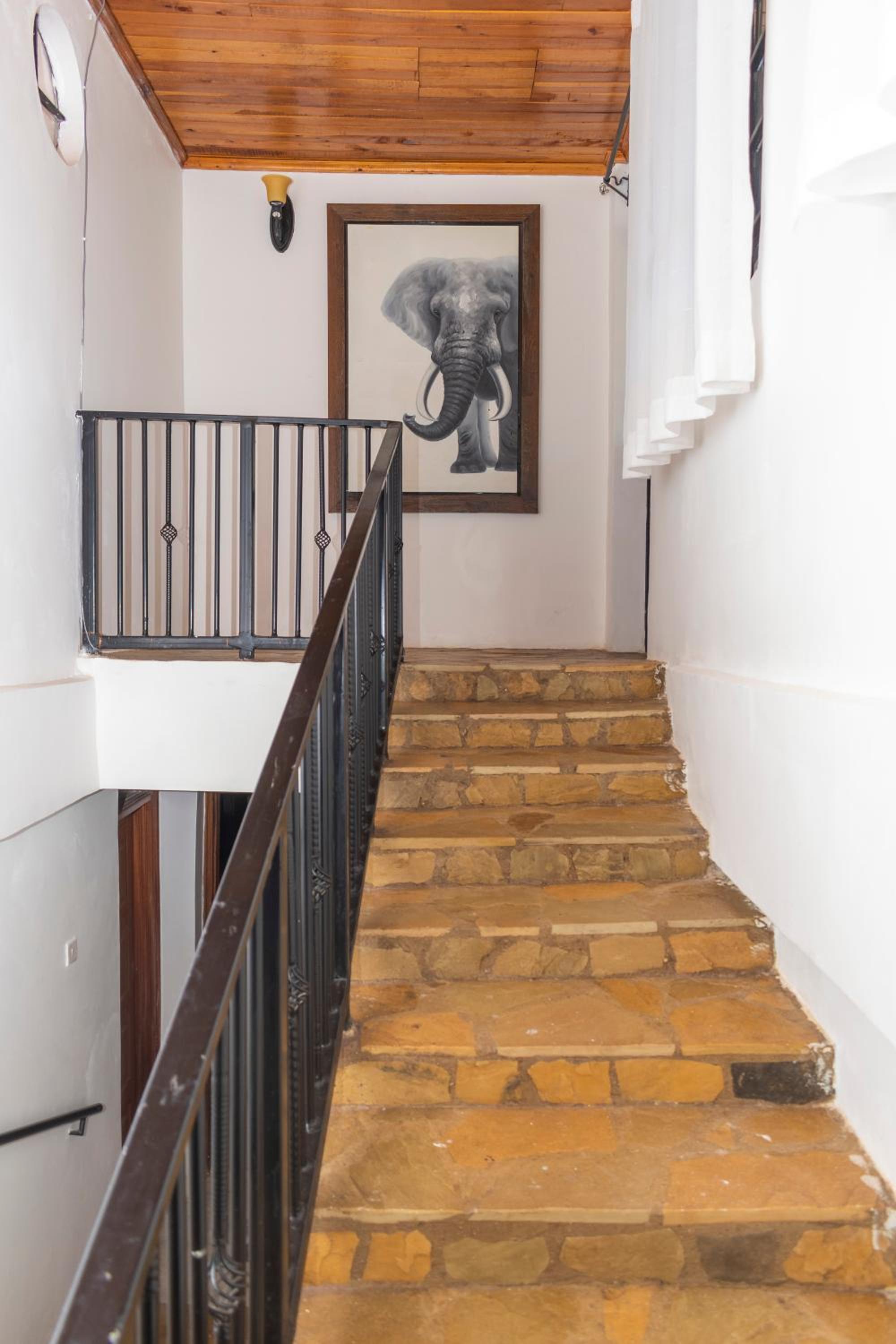 Elevate by African Manor view 2