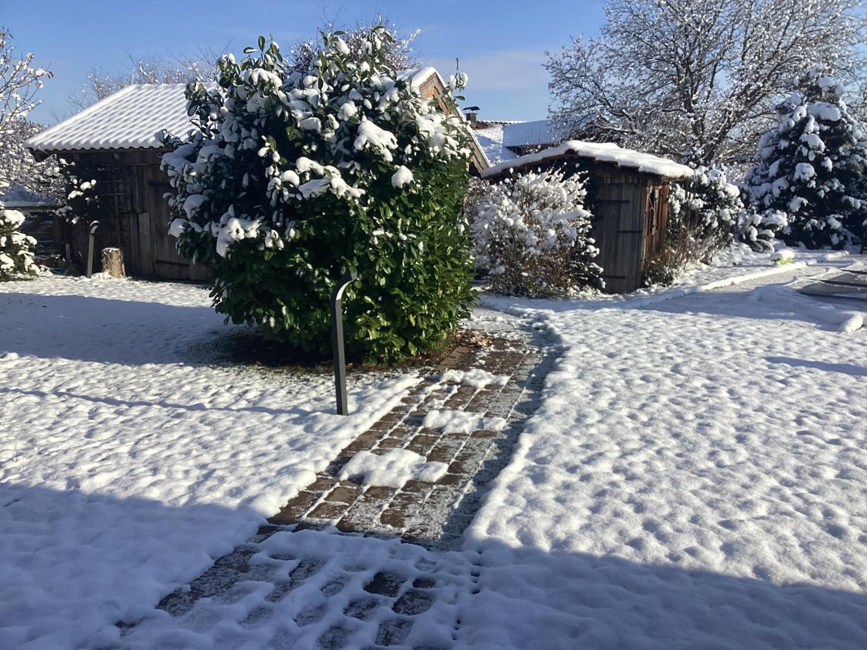Der Birkenhof-Ried