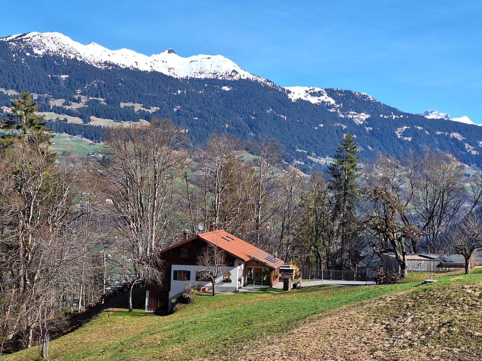 Bergmomente Montafon Ferienhaus Bitschweil