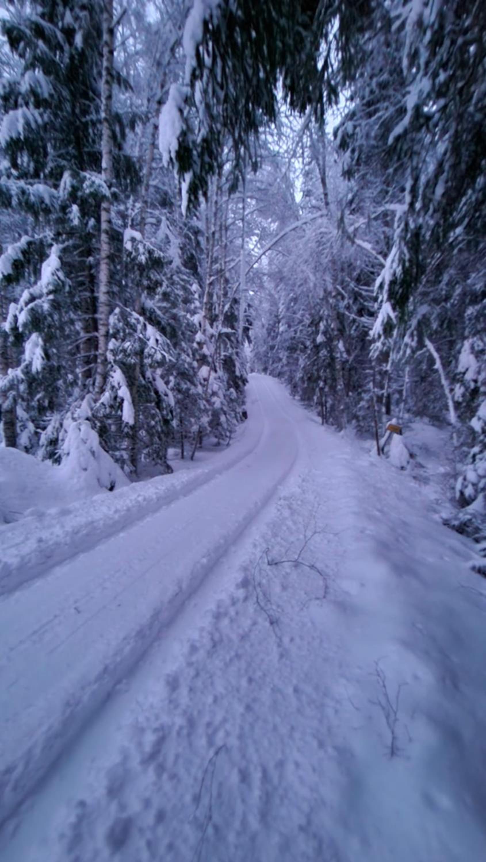 Hirsimökki kansallispuistossa