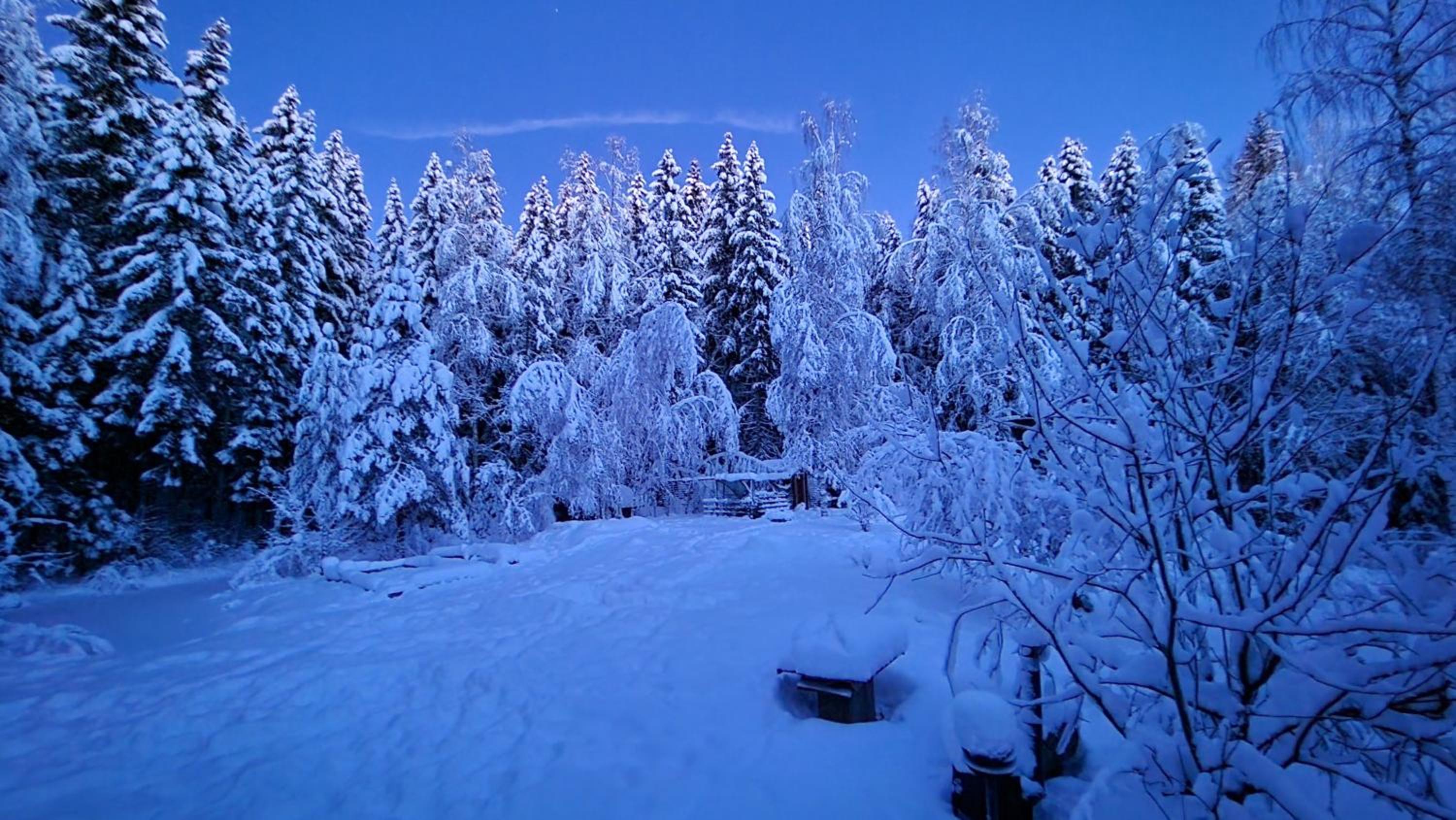 Hirsimökki kansallispuistossa