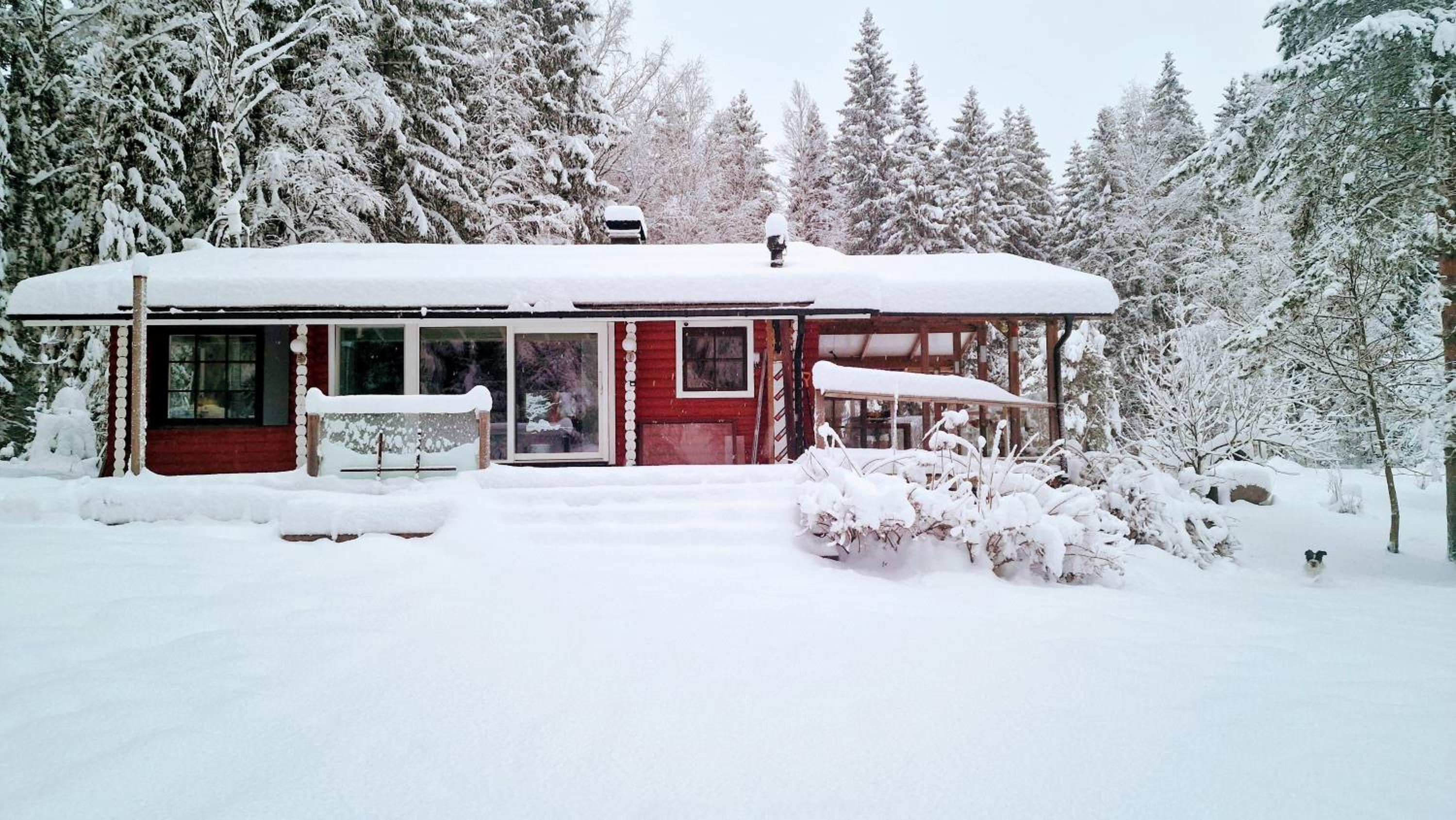 Hirsimökki kansallispuistossa