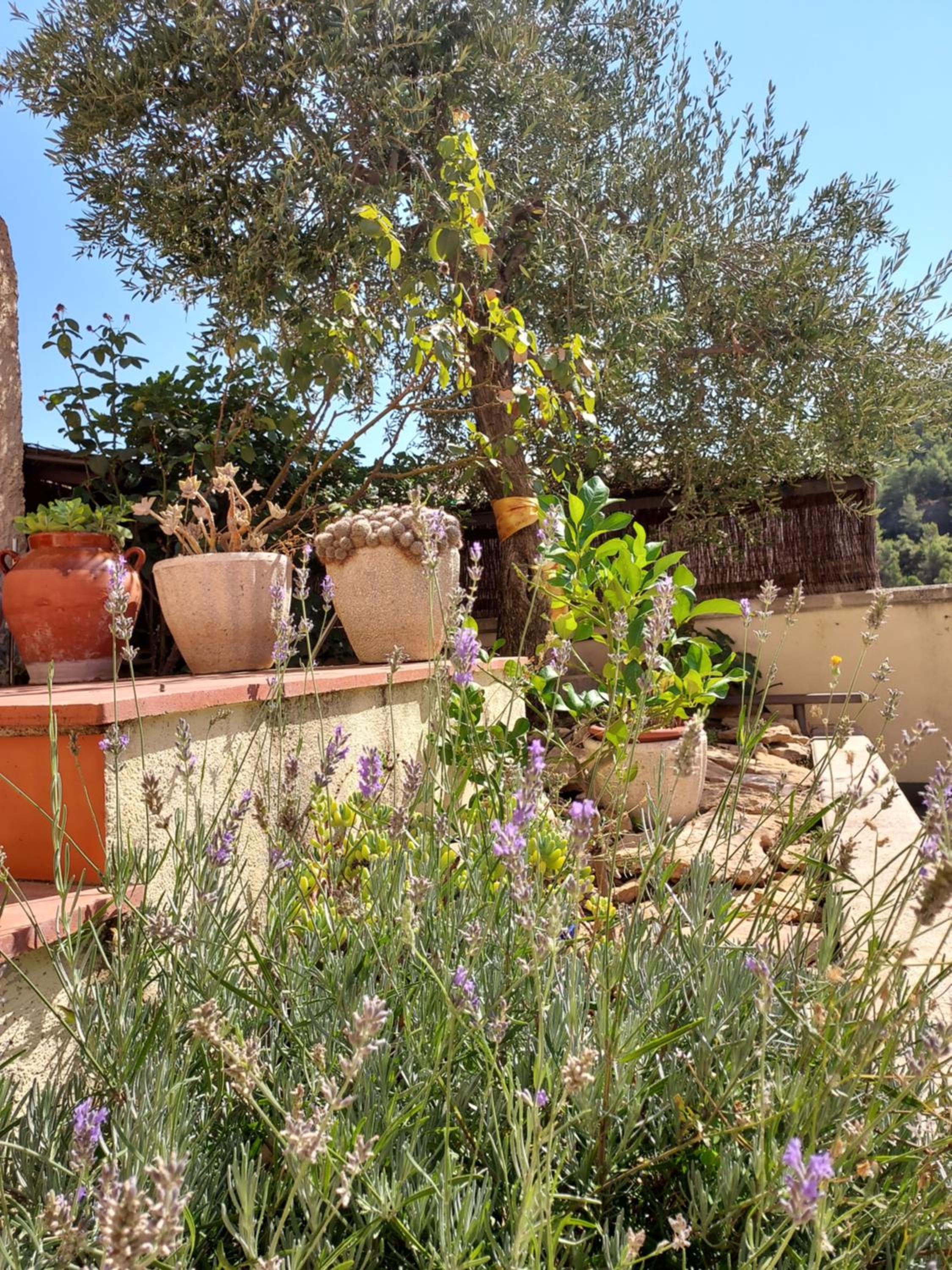Photo 30