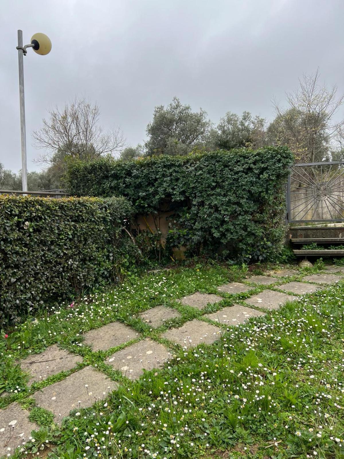 Casa Elena