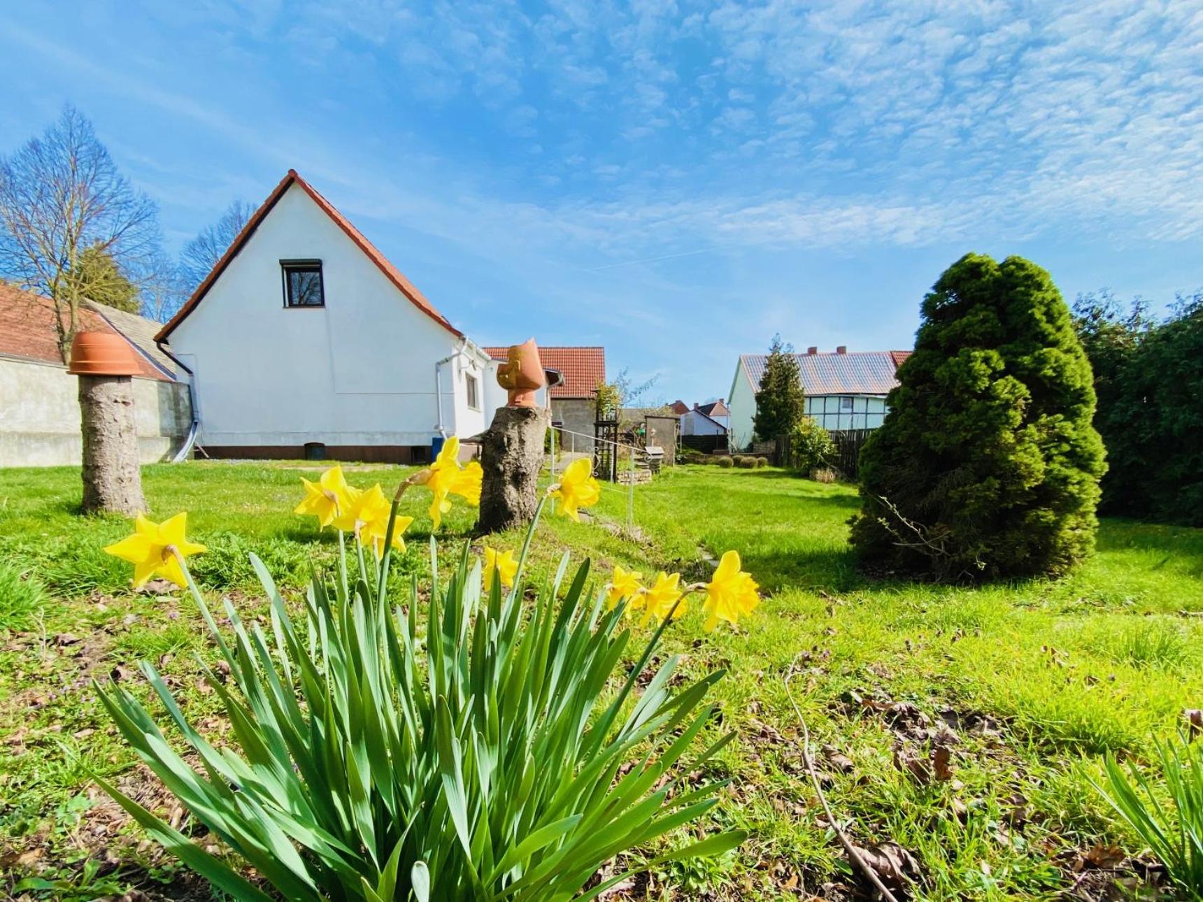 Sternhaus