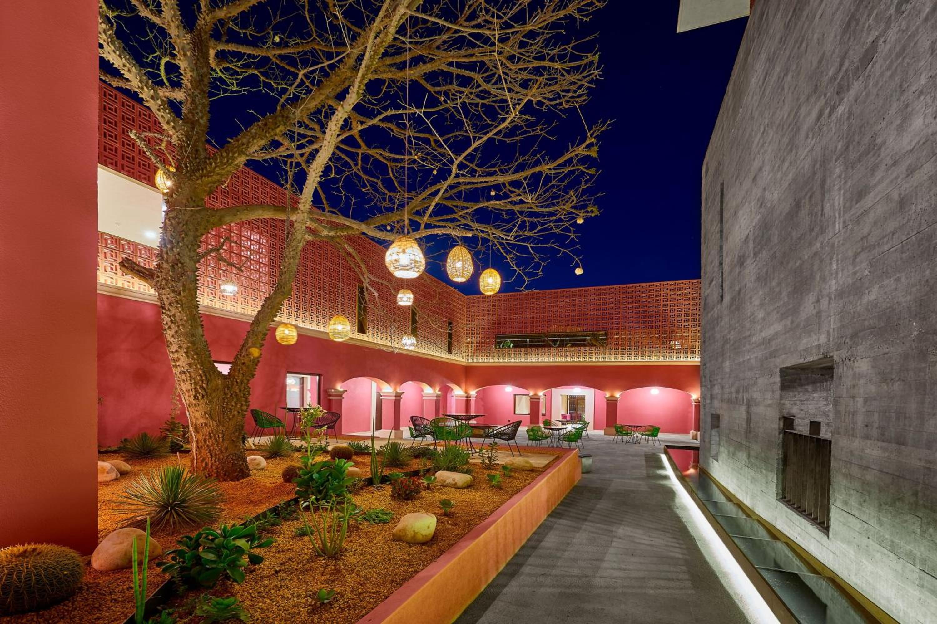 City Centro by Marriott Oaxaca - Property Image 68