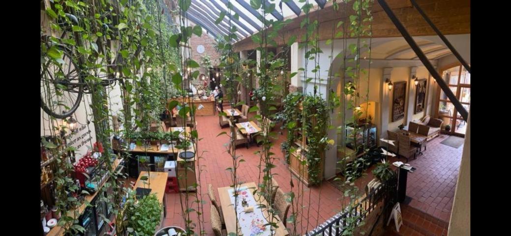 Pensiunea Gasthaus Alte Post view 3