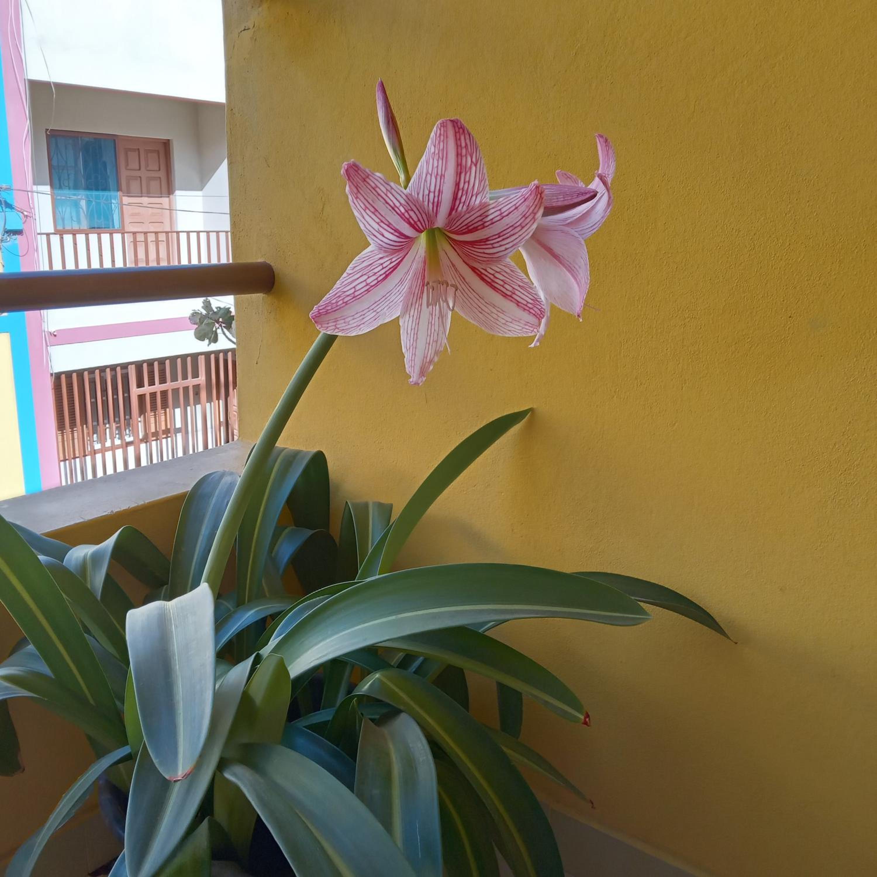 Constança Retreat