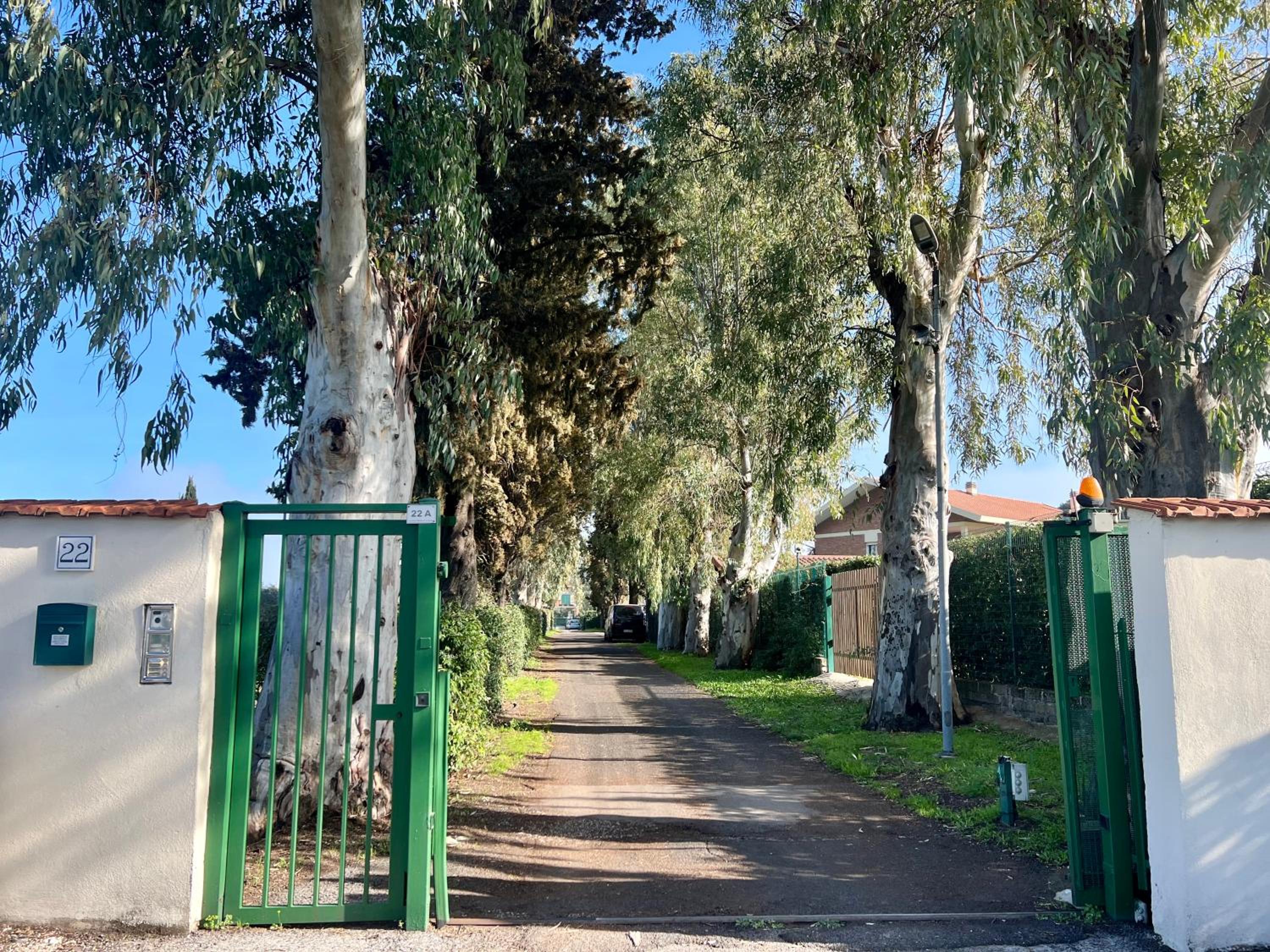 Torrenova 22