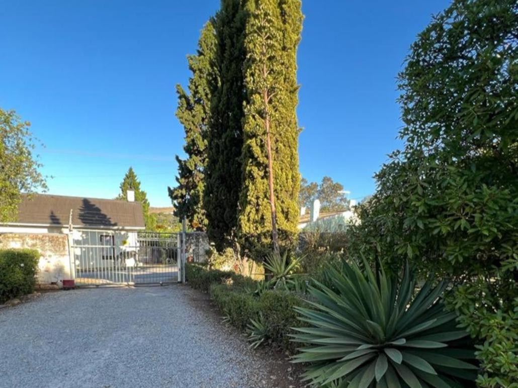 The Cock House view 3
