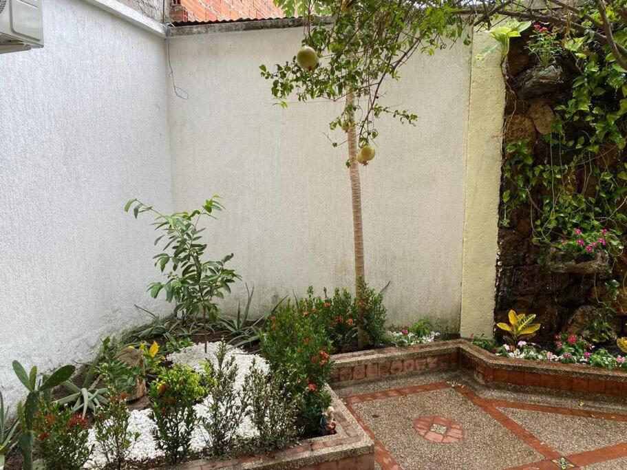 apartment in neiva goliat 101