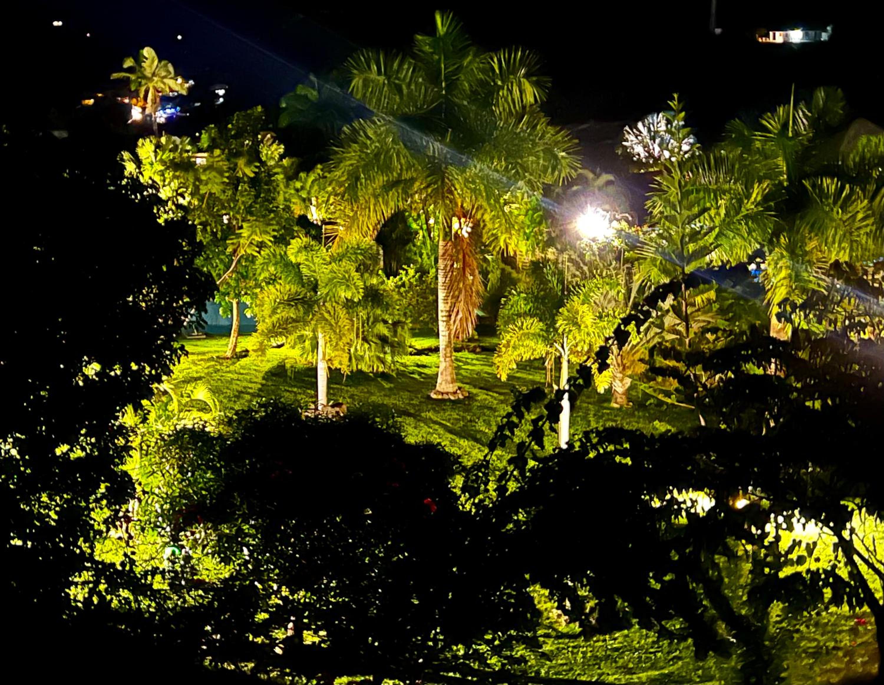 LADILAFE