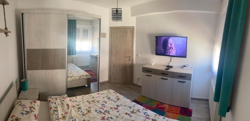 Apartman "Park" view 2