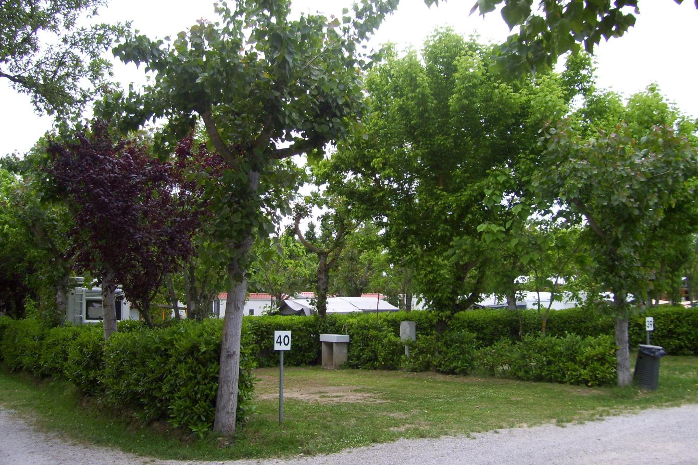 Photo 35