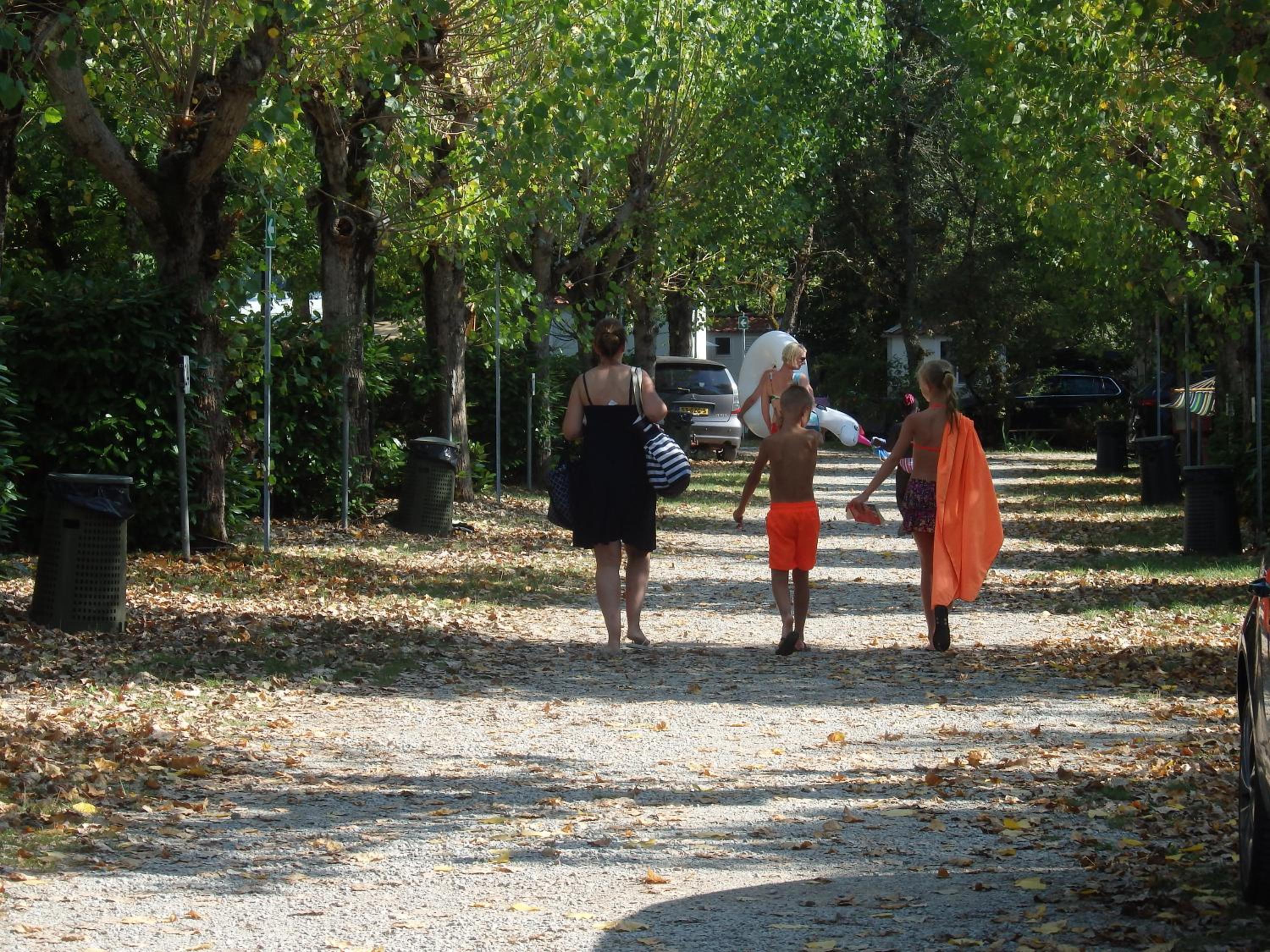 Photo 36