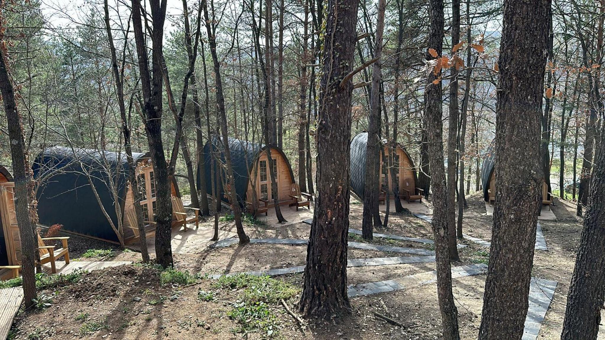 Camping Ripolles