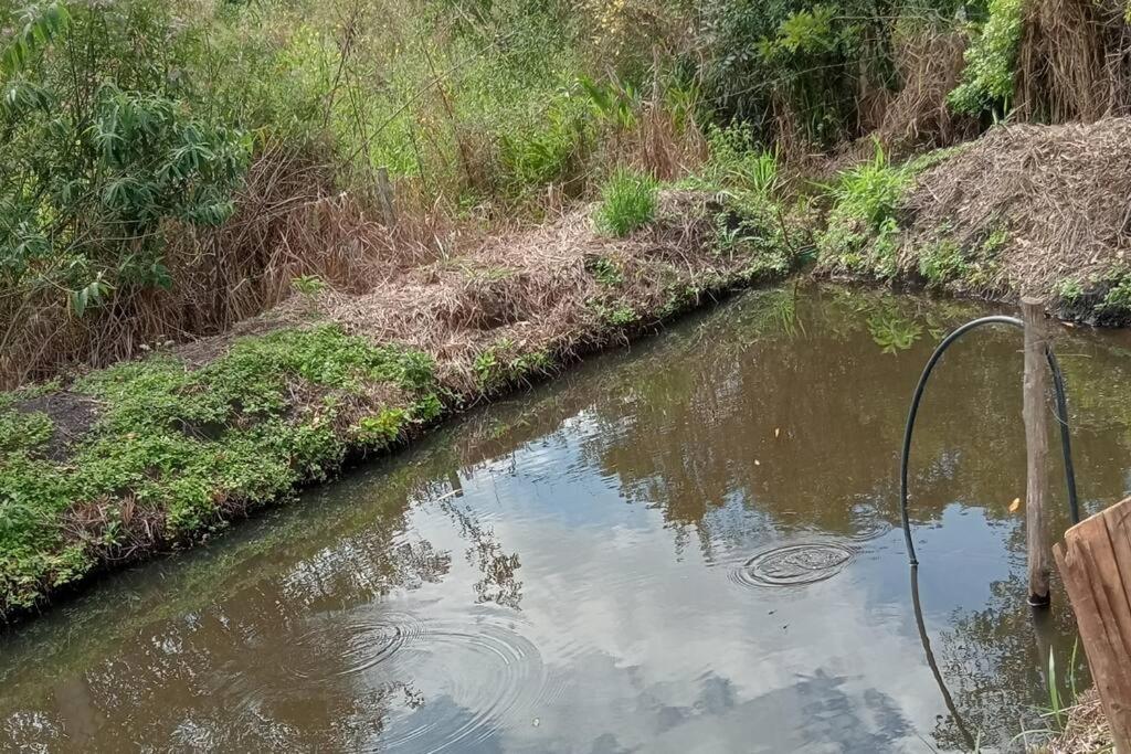 Sítio Âmbar - Piscina, Wi-fi e lago de pesca !