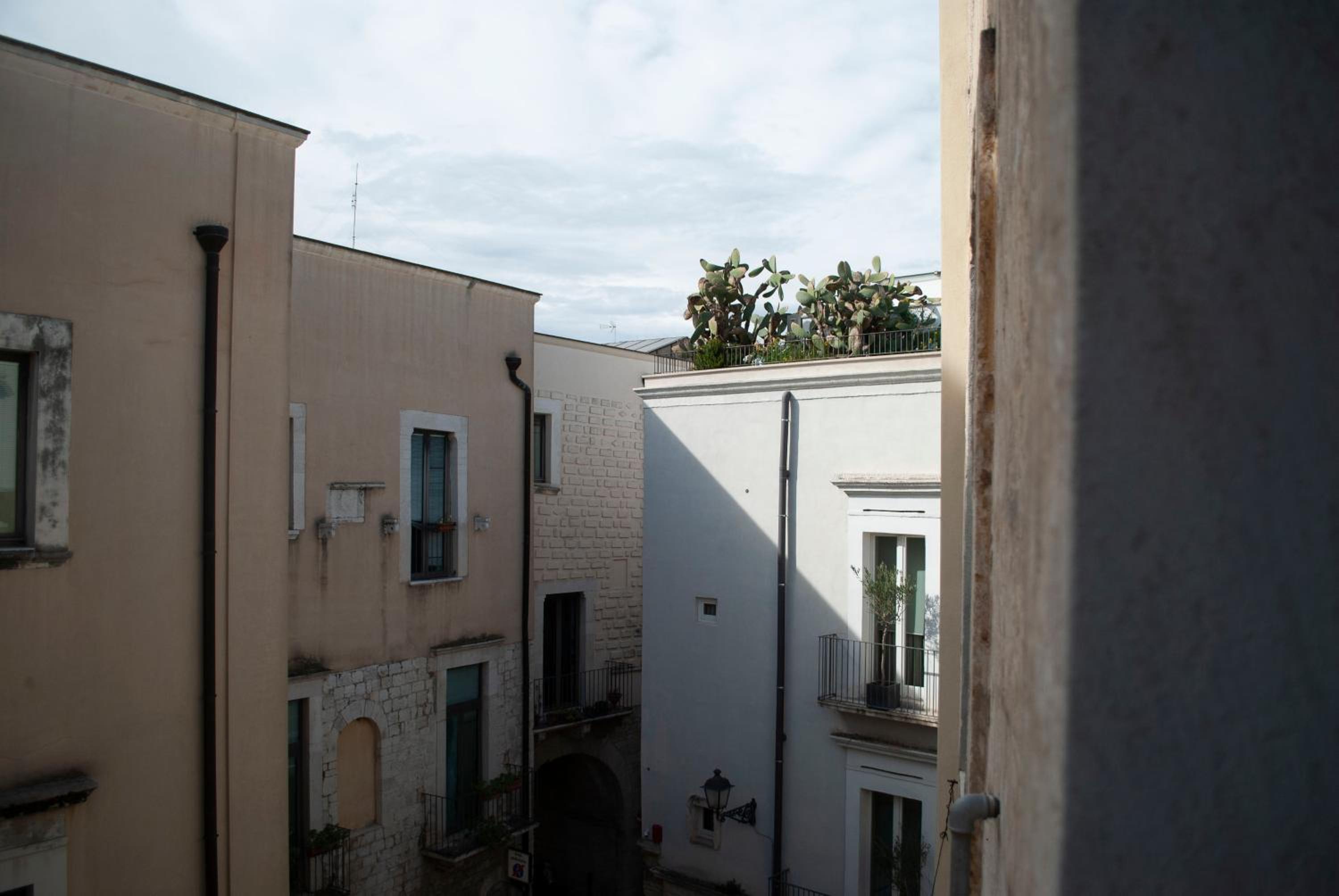 Photo 38