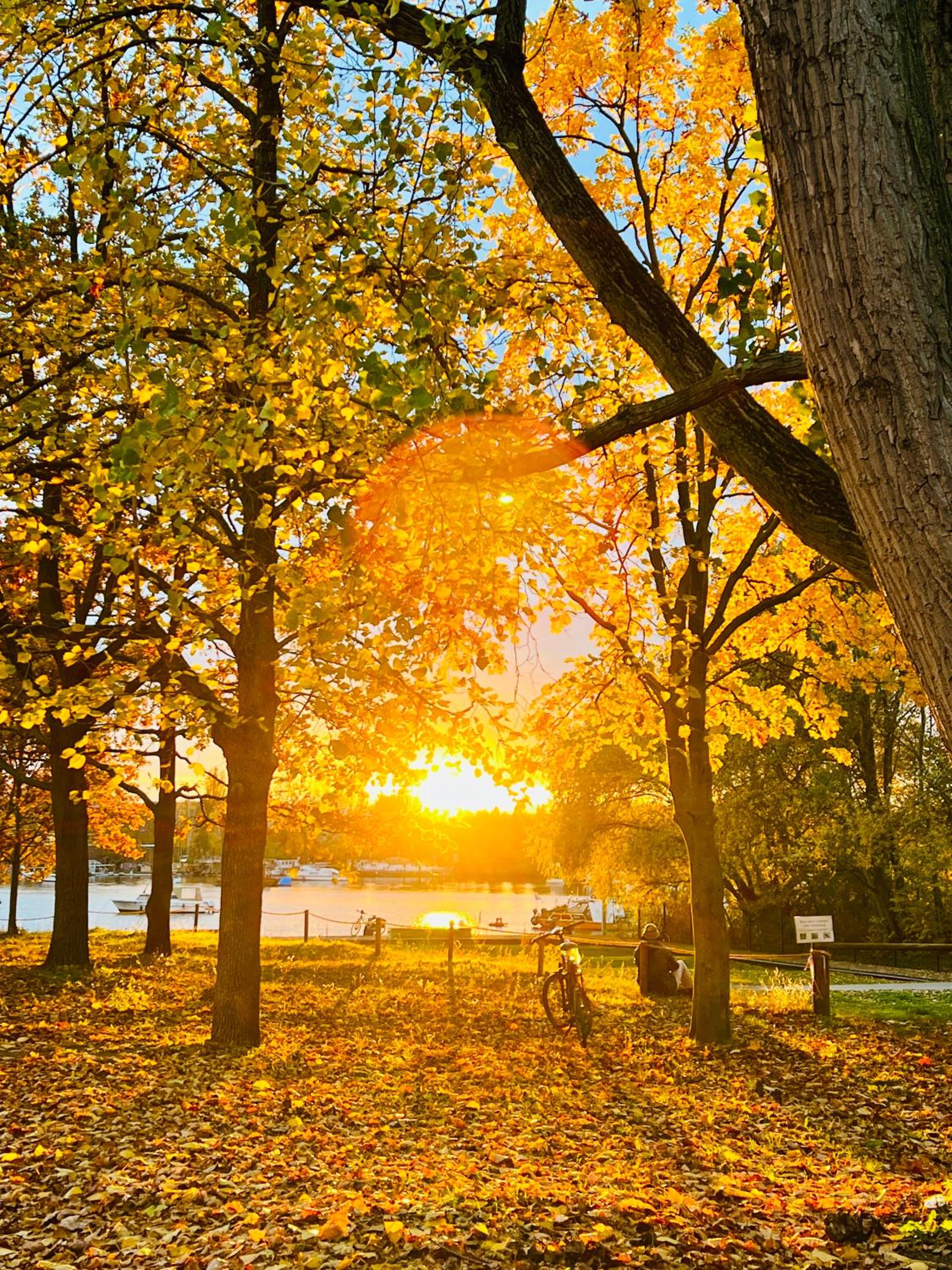 Schöne Aussichten mitten in Berlin - il sole