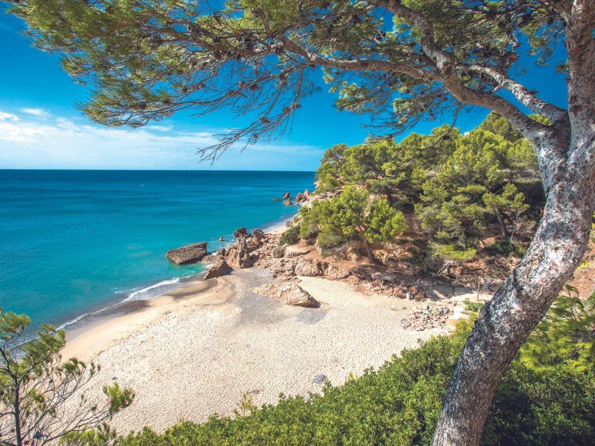 Atico Solarium La Cala